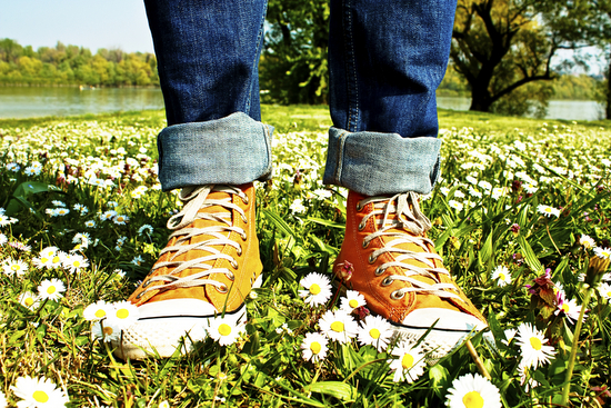 Spring is in the Air! Where will have your springtime adventure this year?