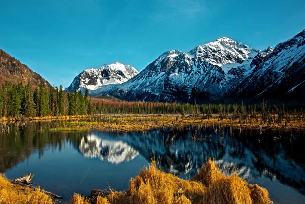Explore 17 of the highest mountain peaks in the United States and glaciers galore.