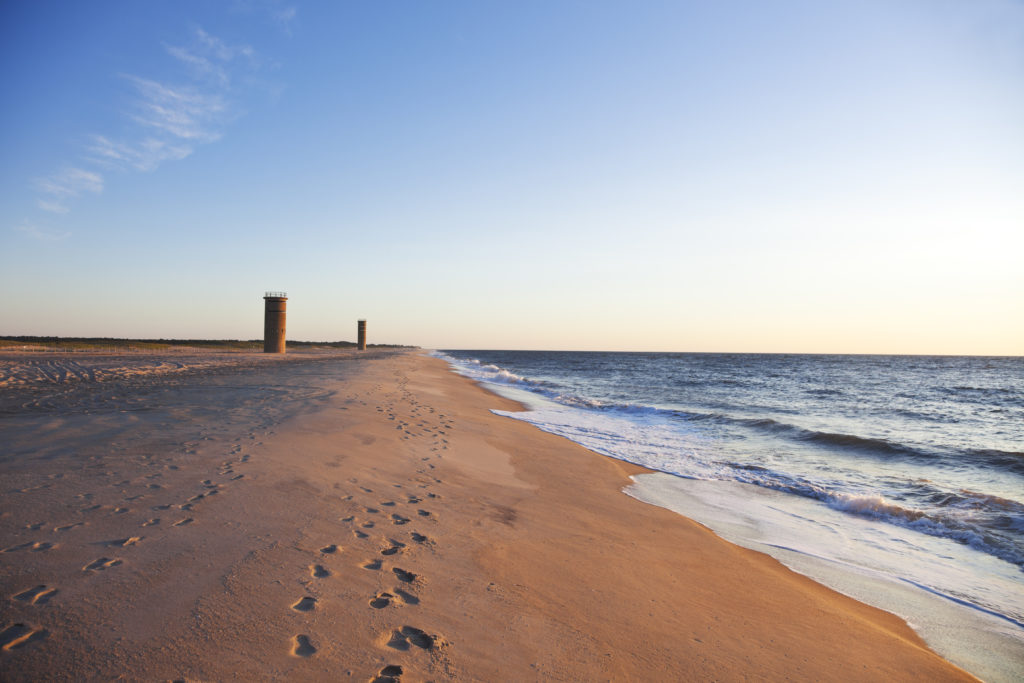 Explore Rehobeth and Delaware Beaches, the Delaware Art Museum, and Brandywine Creek State Park.