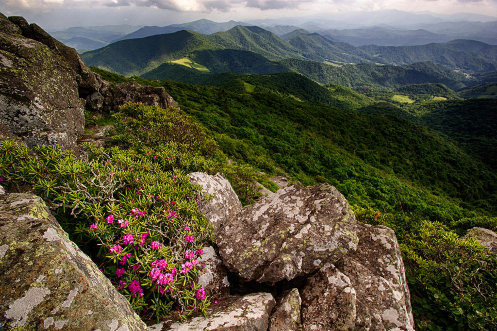 Explore the Blue Ridge Parkway, Appalachian Mountains, Research Triangle, and more.