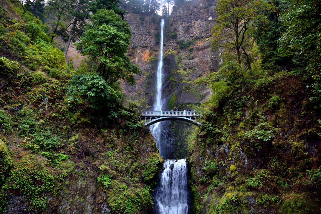 Experience the beauty of nature up close when you visit Oregon's Multnomah Falls.