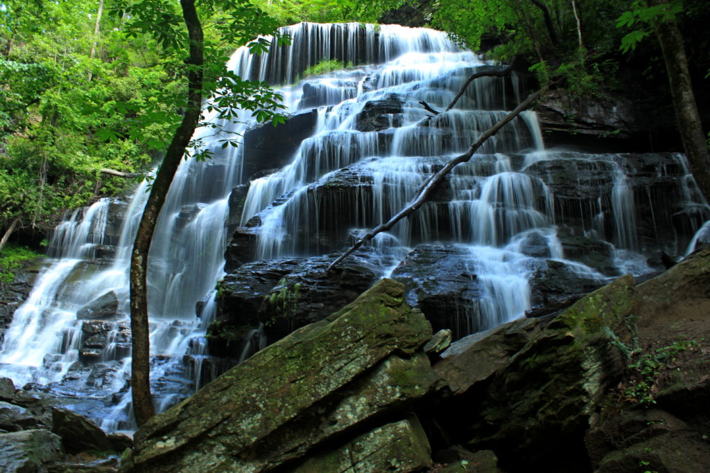 Discover Yellow Branch Falls in Sumter National Forest.