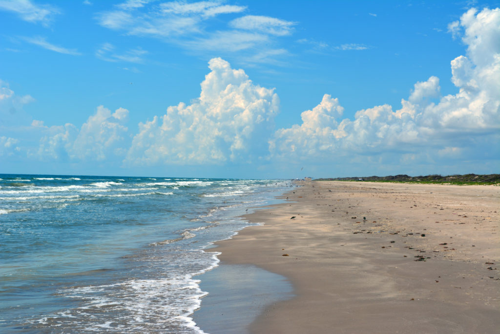 Explore Big Bend National Park, Padre Island National Seashore, and the Space Center Houston.
