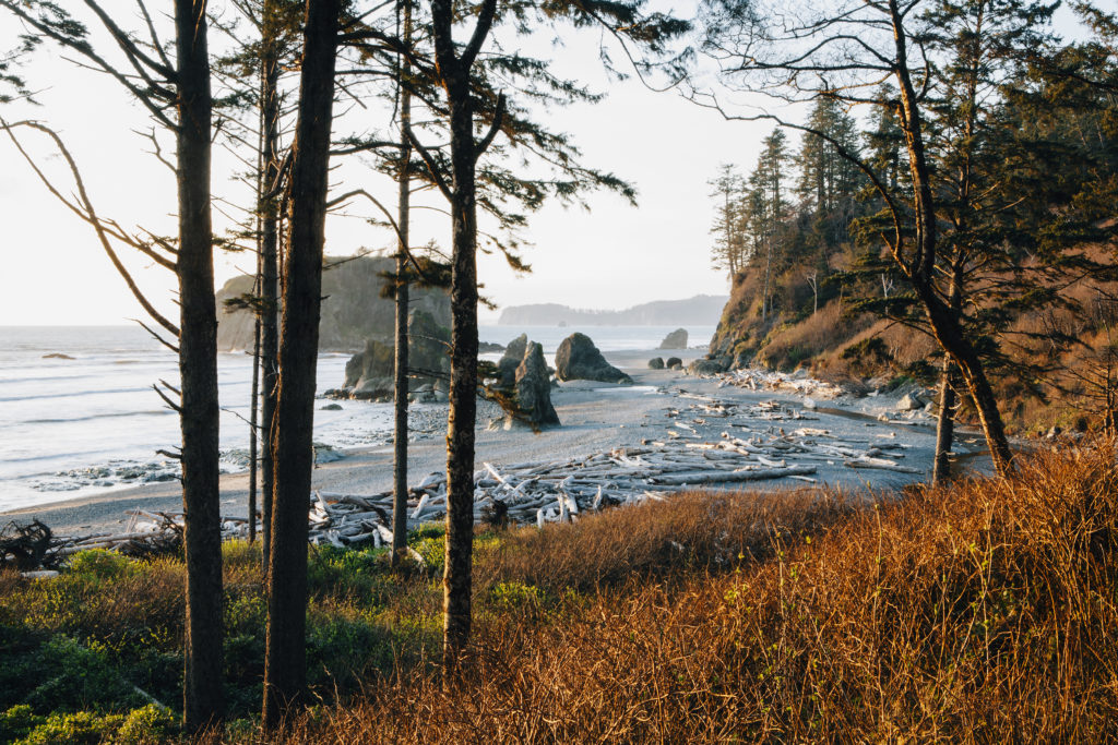 Search for seashells, collect pieces of driftwood, and wander along Ruby Beach in Olympic National Park.