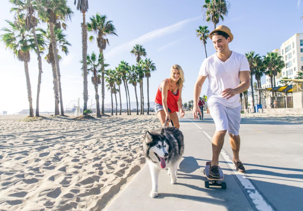 Couple with dog skating outdoors