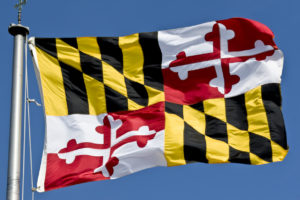 Maryland State Flag Waving In the Breeze