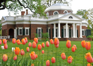 Monticello with tulips in foreground