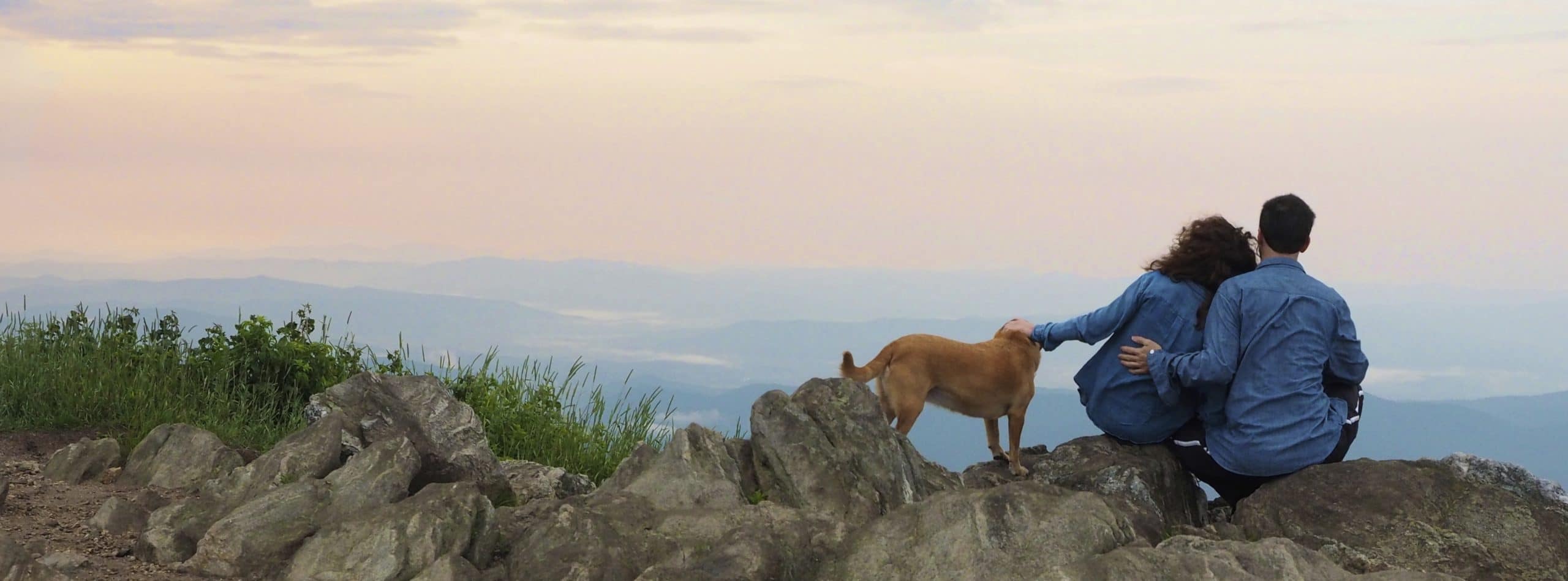 North Carolina view