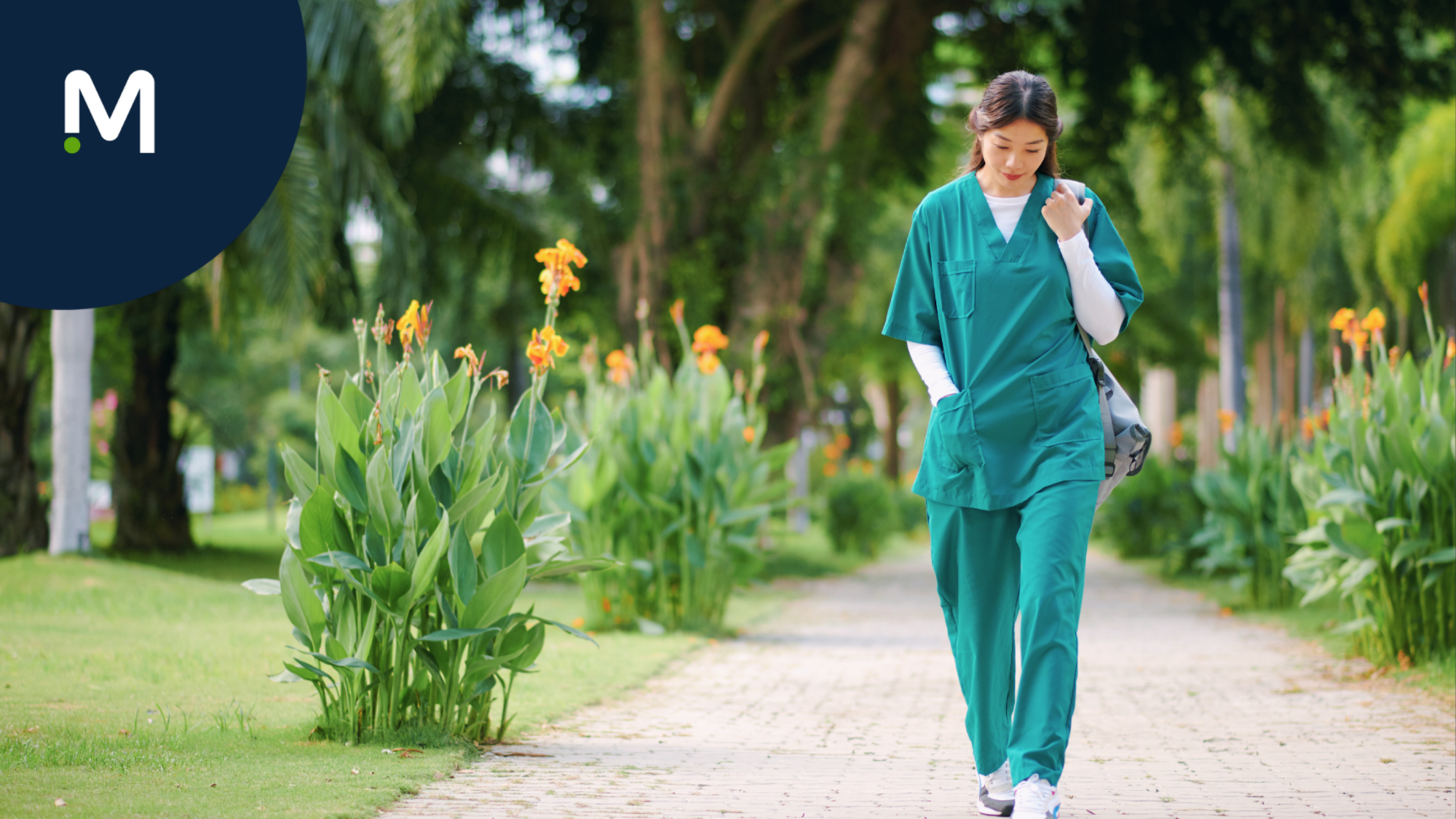 Best States for Travel Nursing in the South | Medical Solutions