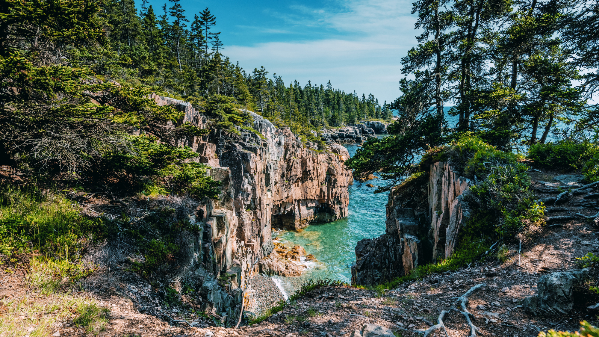 Aerial view of a cliff surrounding my trees overlooking blue waters.